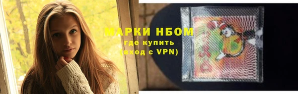 соль ск Верхний Тагил