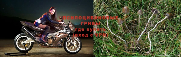 соль ск Верхний Тагил