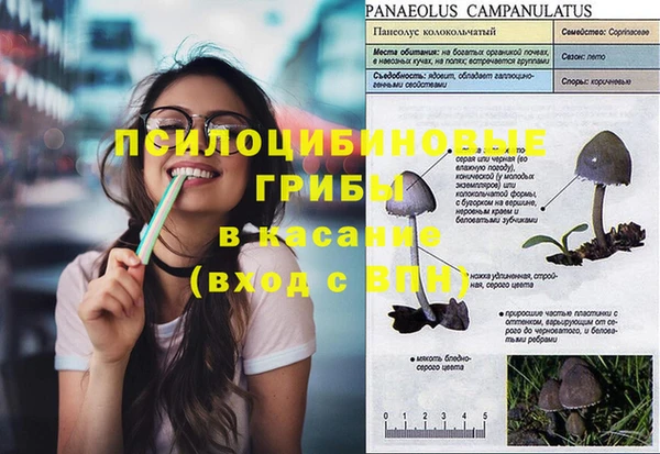 соль ск Верхний Тагил