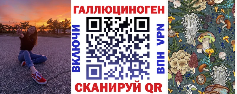 Купить закладки  Нерчинск  Галлюциногенные грибы GOLDEN TEACHER 